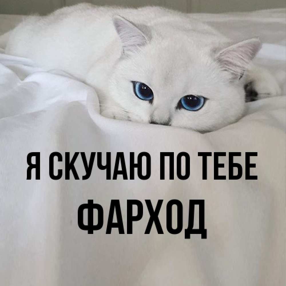 Открытка  с именем. Фарход, Я скучаю по тебе  