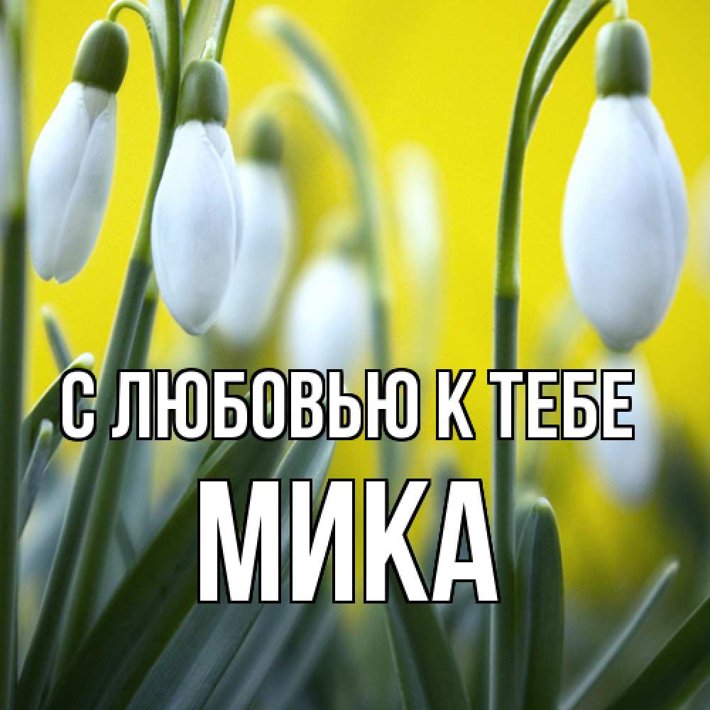 Открытка  с именем. мика, С любовью к тебе  