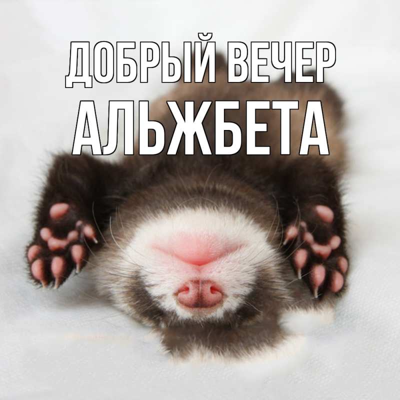 Картинка Добрый вечер, Альжбета