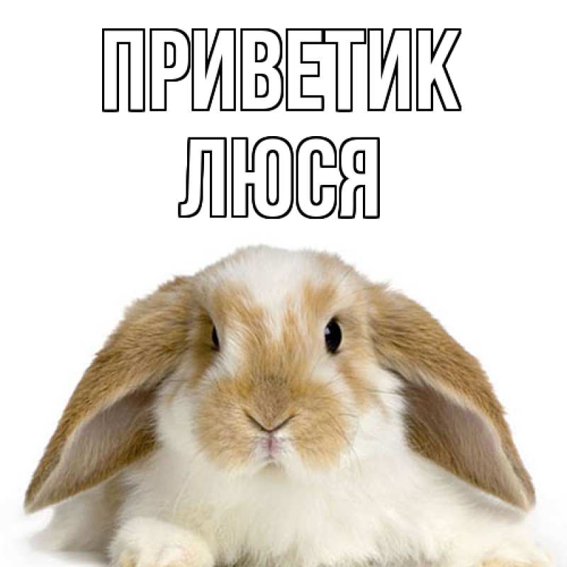 Картинка приветик, Люся