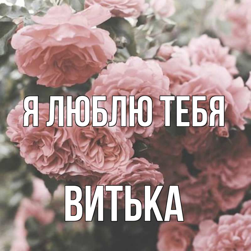 Картинка Я люблю тебя, Витька