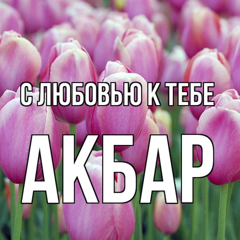 Открытка с именем, Акбар, С любовью к тебе