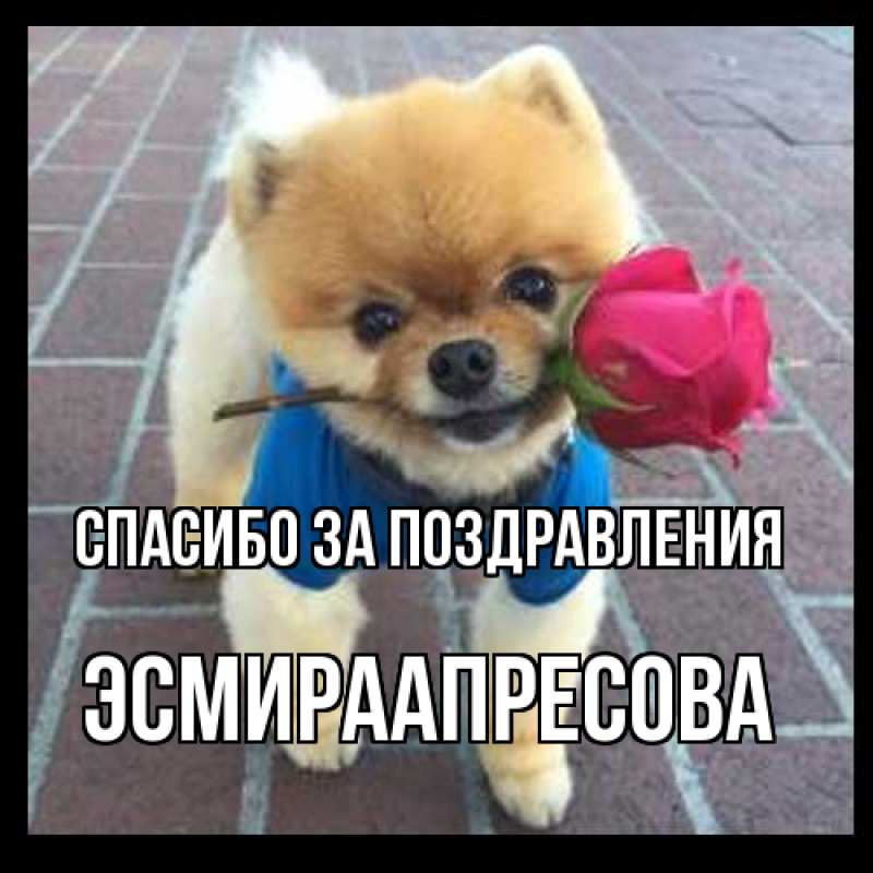 Картинка Спасибо за поздравления, ЭсмираАпресова