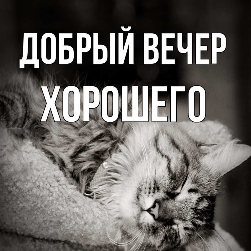 Картинка Добрый вечер, Хорошего
