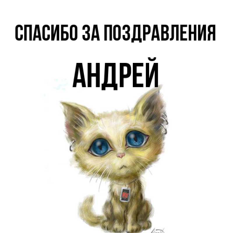 Картинка Спасибо за поздравления, Андрей