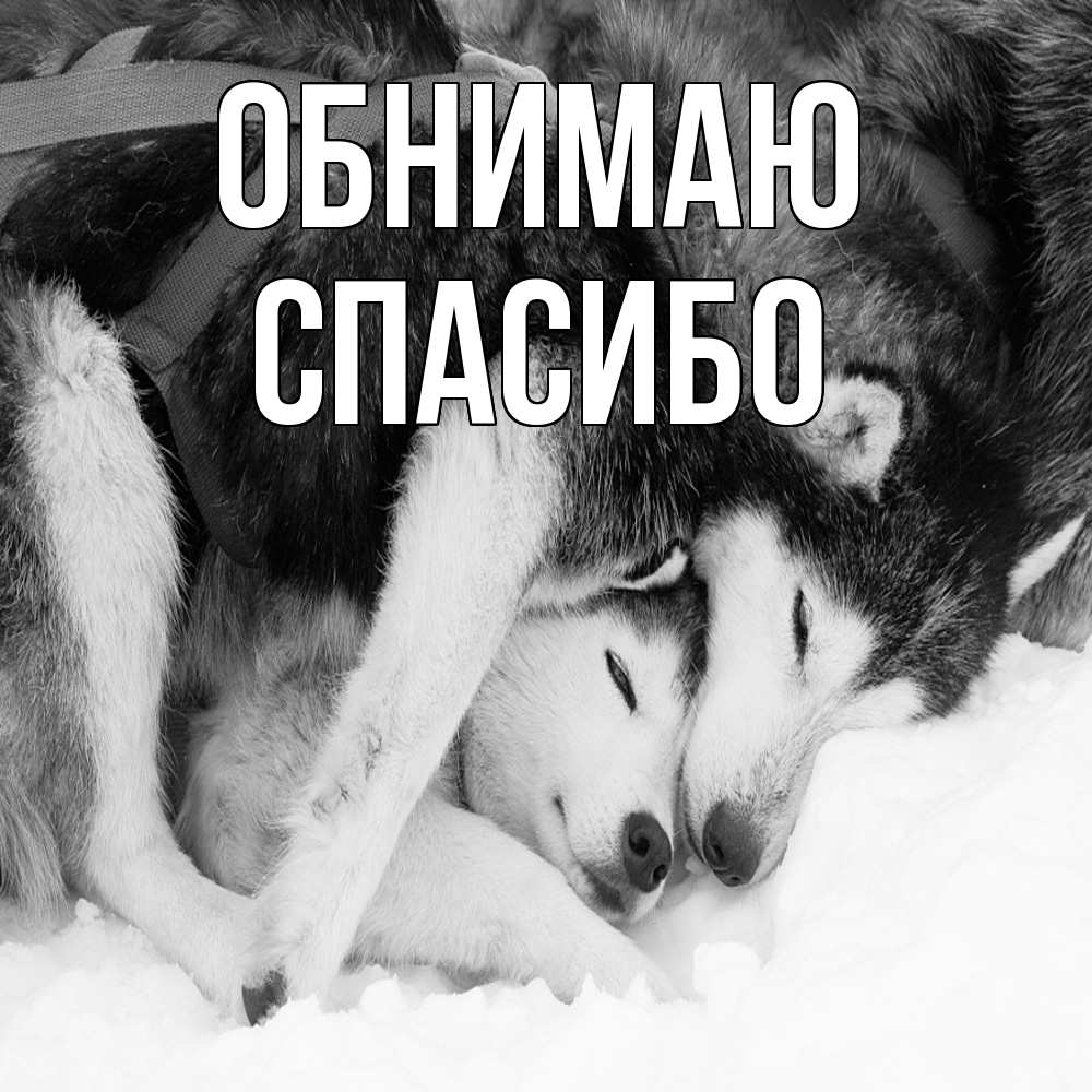 Открытка  с именем. СПАСИБО, Обнимаю  