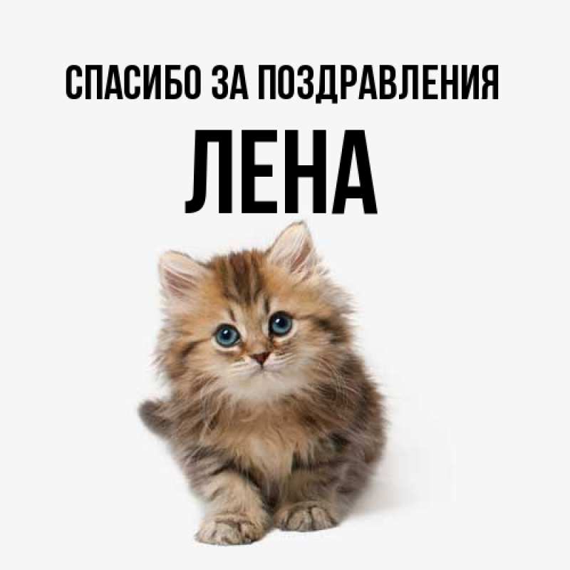 Открытка с именем, Лена, Спасибо за поздравления