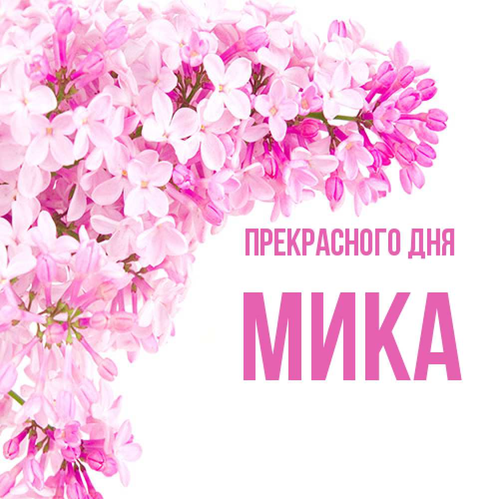Открытка  с именем. мика, Прекрасного дня  