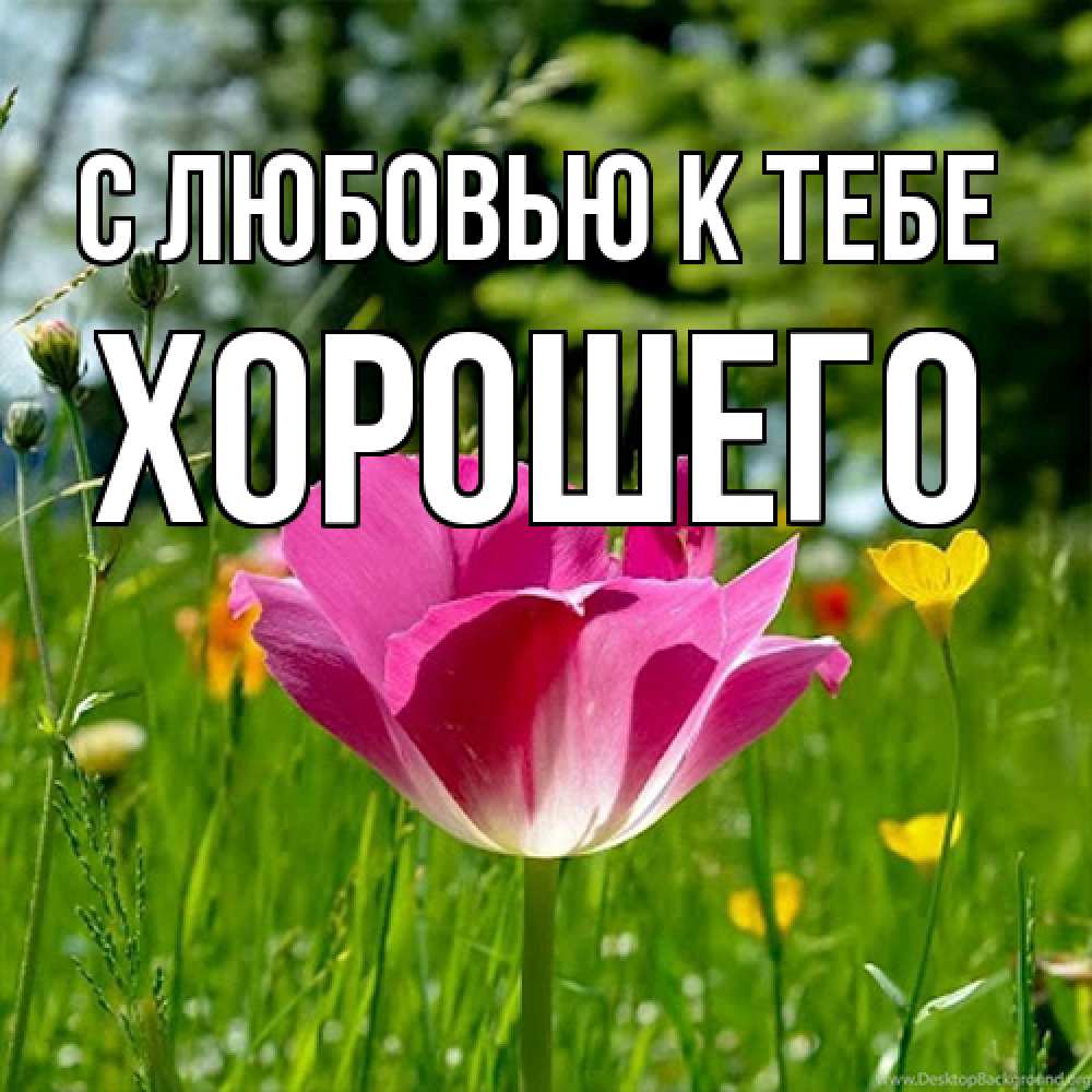 Открытка  с именем. Хорошего, С любовью к тебе  