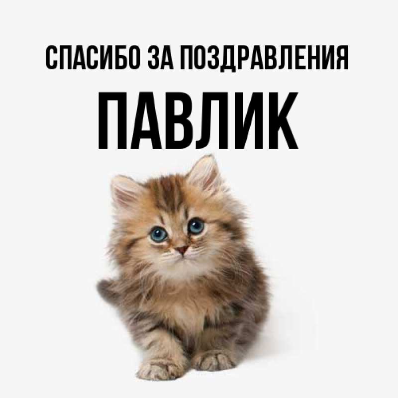 Картинка Спасибо за поздравления, Павлик