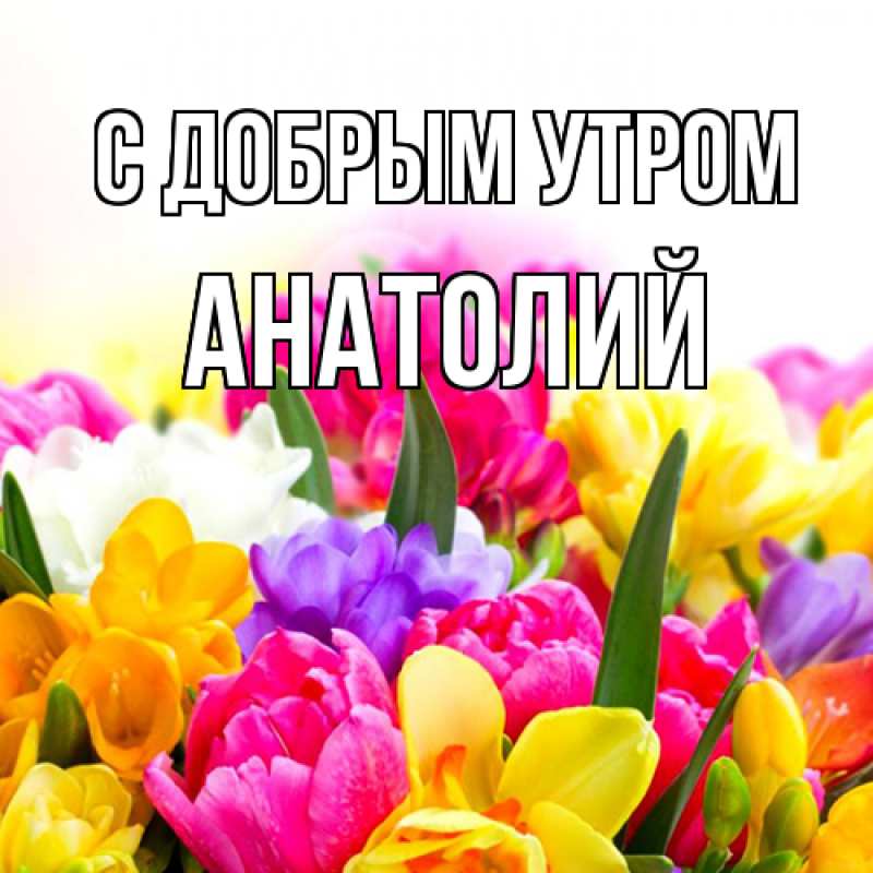 Картинка С добрым утром, Анатолий