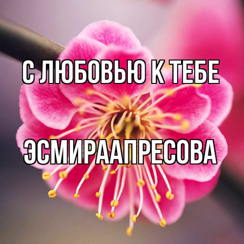 Открытка с именем, ЭсмираАпресова, С любовью к тебе