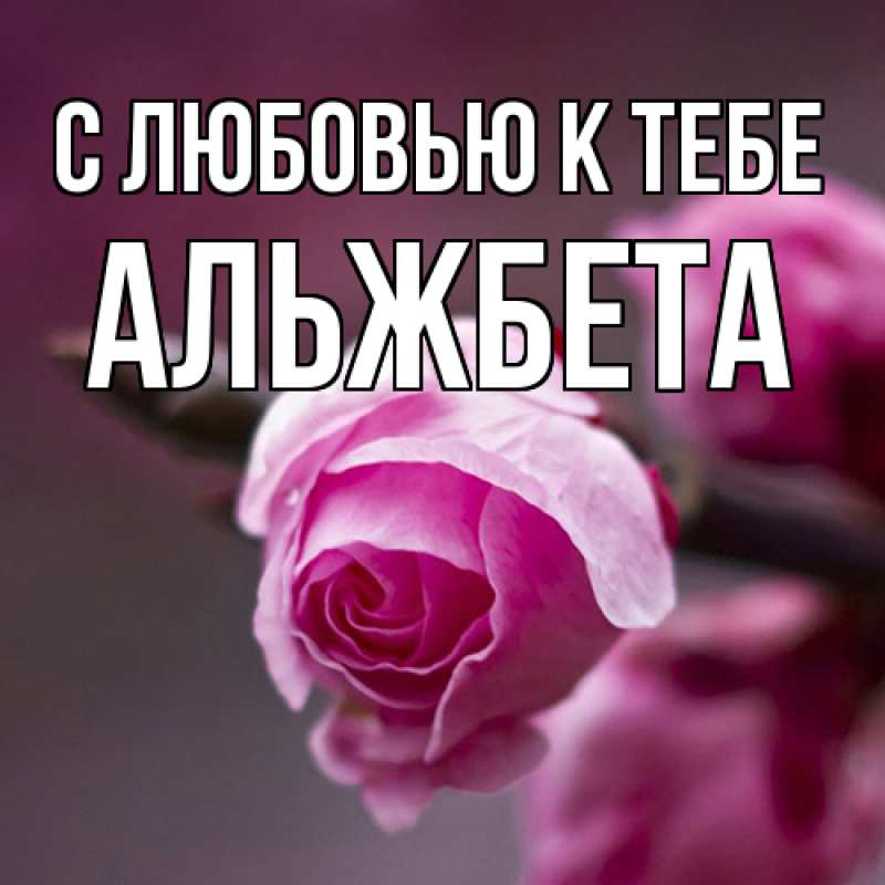 Картинка С любовью к тебе, Альжбета