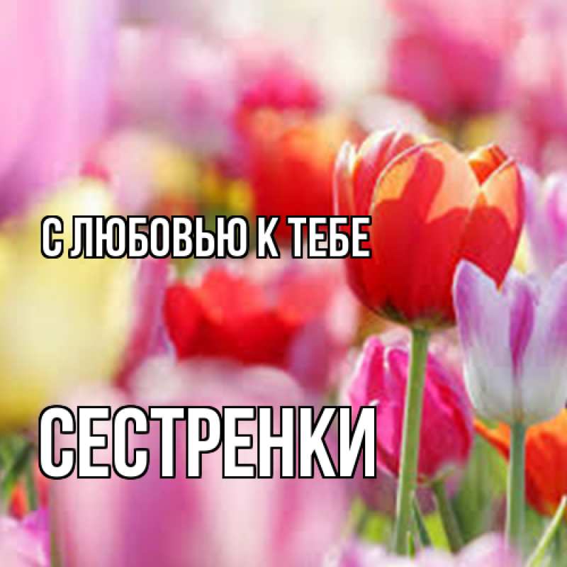 Картинка С любовью к тебе, Сестренки