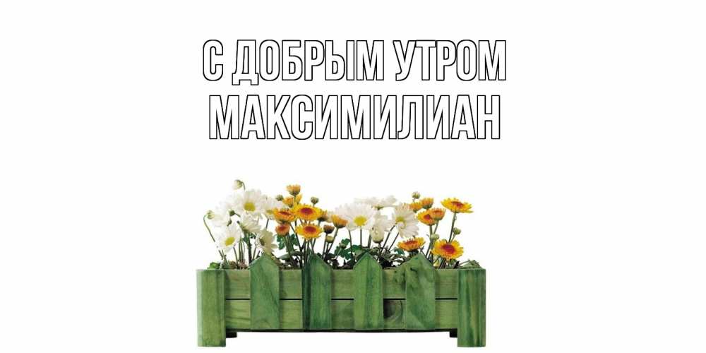 Открытка  с именем. Максимилиан, С добрым утром  