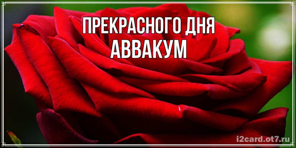 Открытка  с именем. Аввакум, Прекрасного дня  