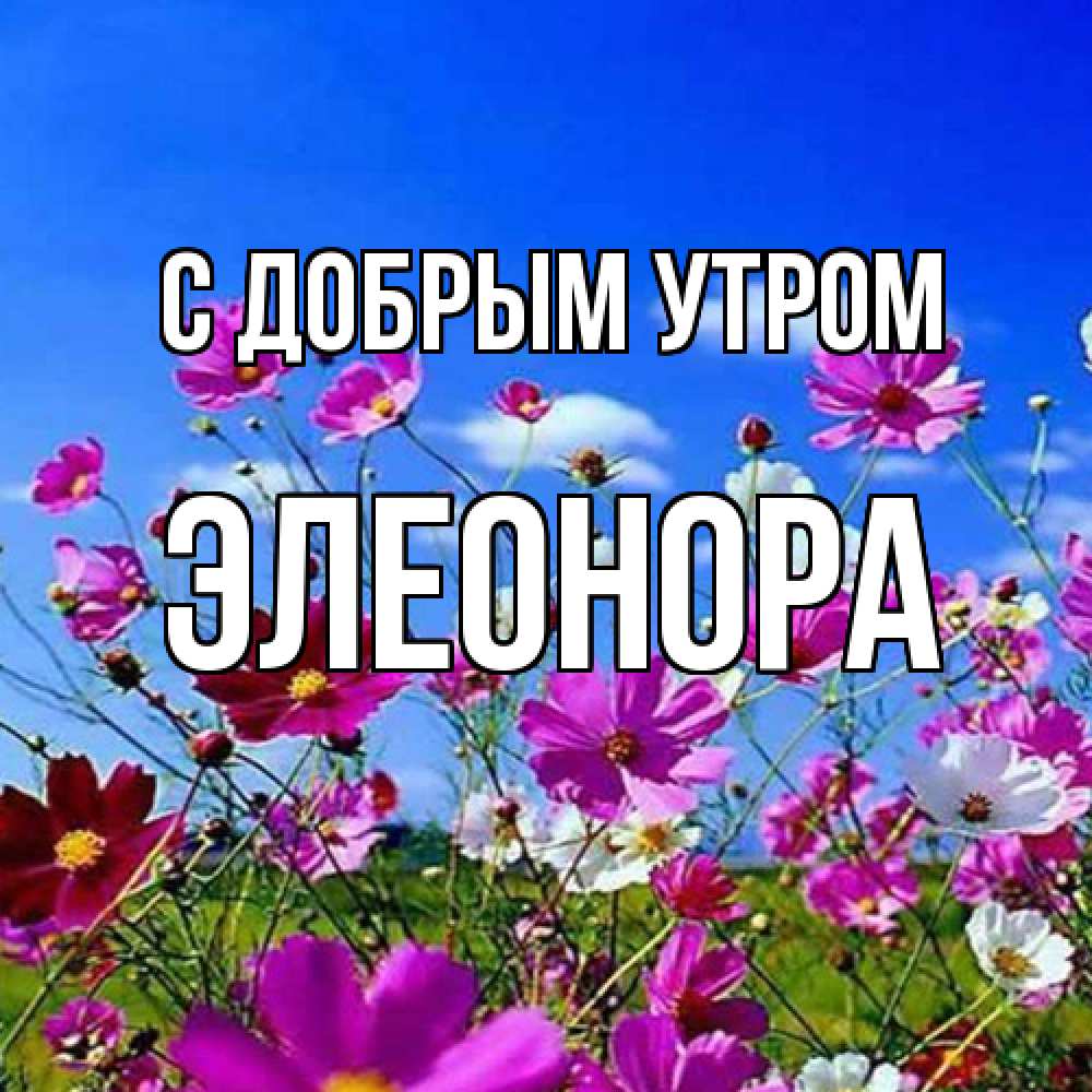 Открытка  с именем. Элеонора, С добрым утром  