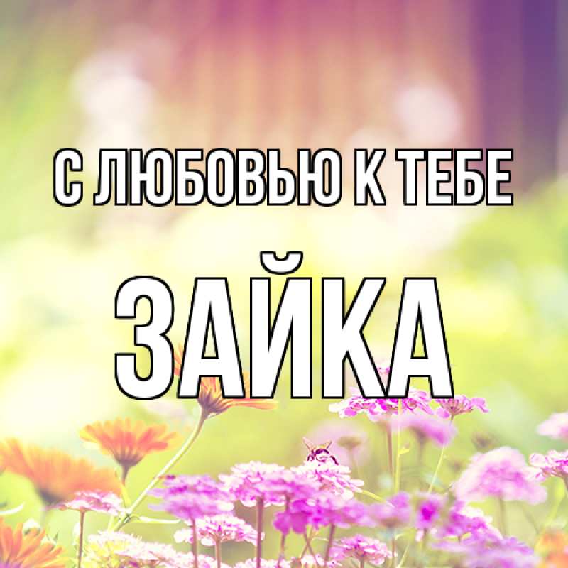 Картинка С любовью к тебе, Зайка