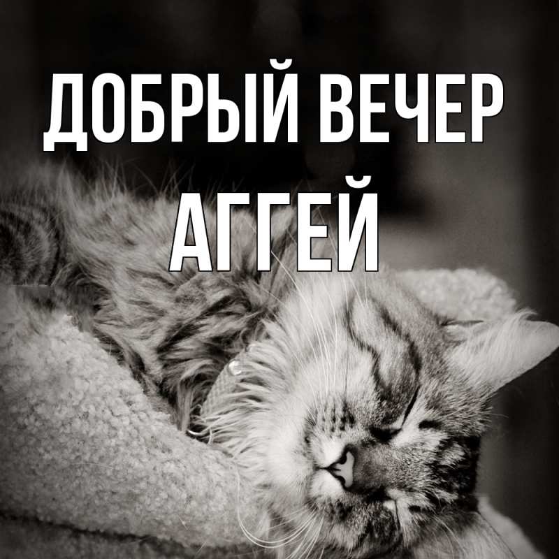 Картинка Добрый вечер, Аггей