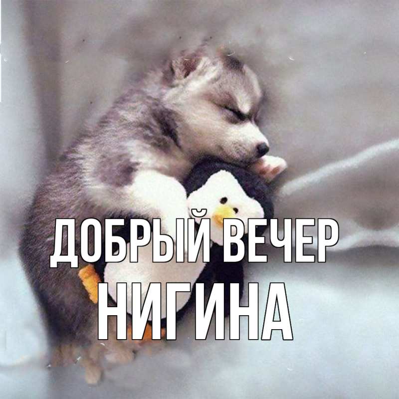 Картинка Добрый вечер, Нигина