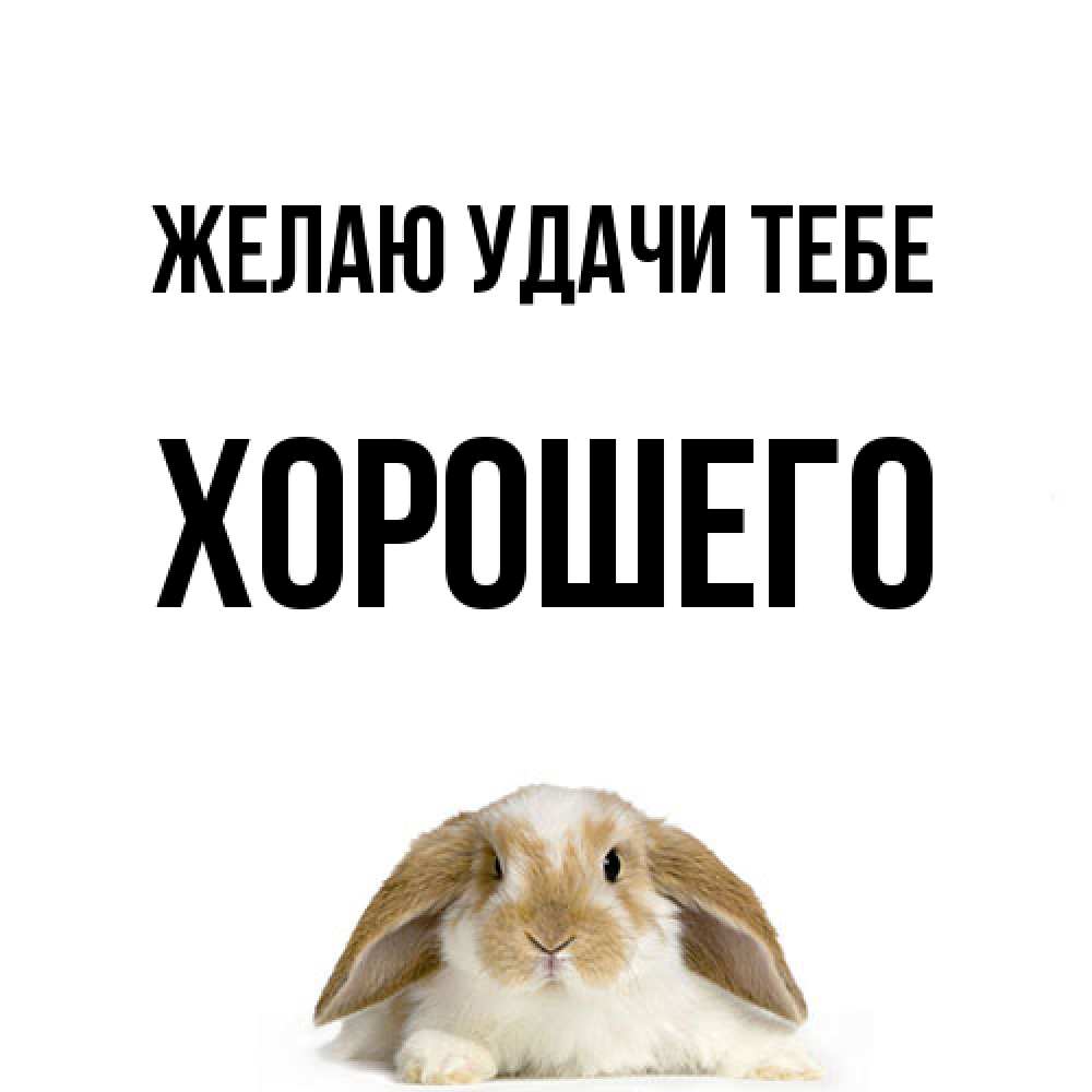 Открытка  с именем. Хорошего, Желаю удачи тебе  