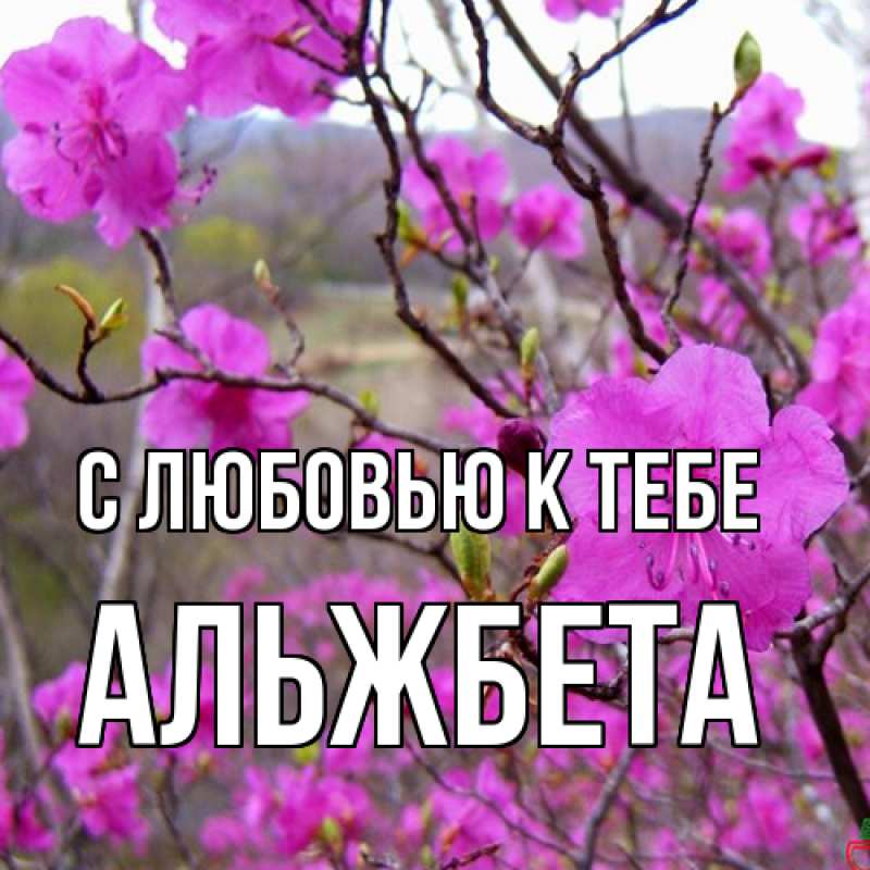 Картинка С любовью к тебе, Альжбета