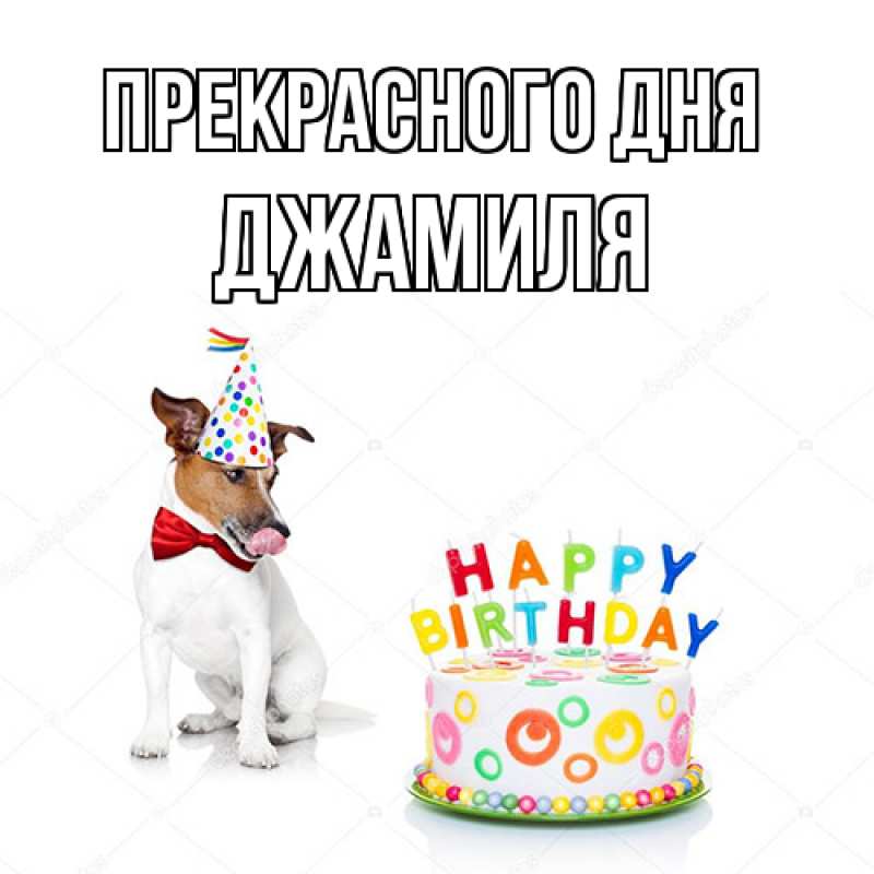 Картинка Прекрасного дня, Джамиля