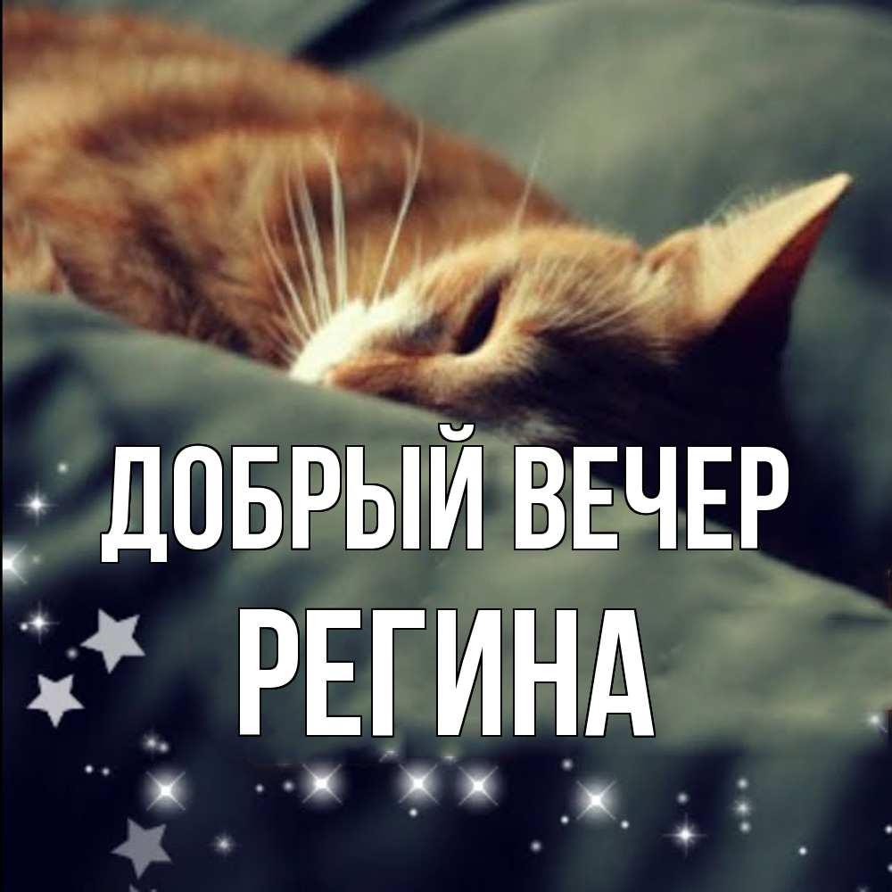 Открытка  с именем. Регина, Добрый вечер  