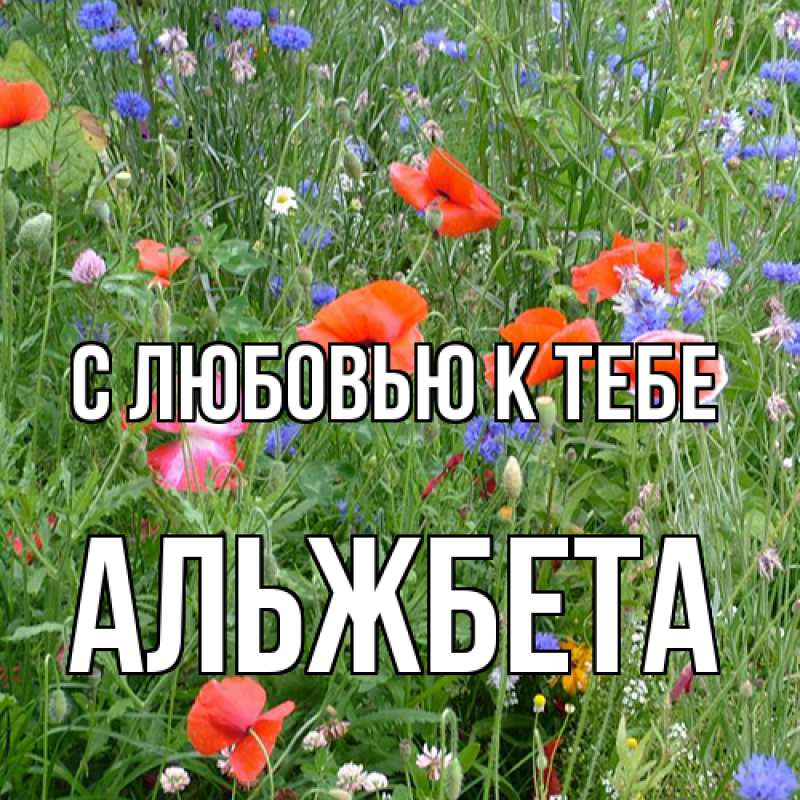 Картинка С любовью к тебе, Альжбета