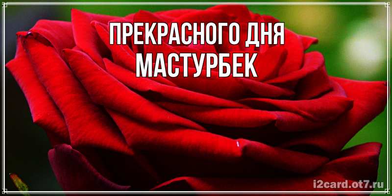 Картинка Прекрасного дня, Мастурбек