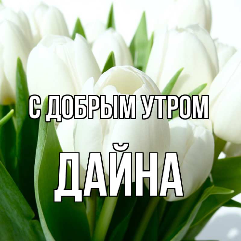 Картинка С добрым утром, Дайна