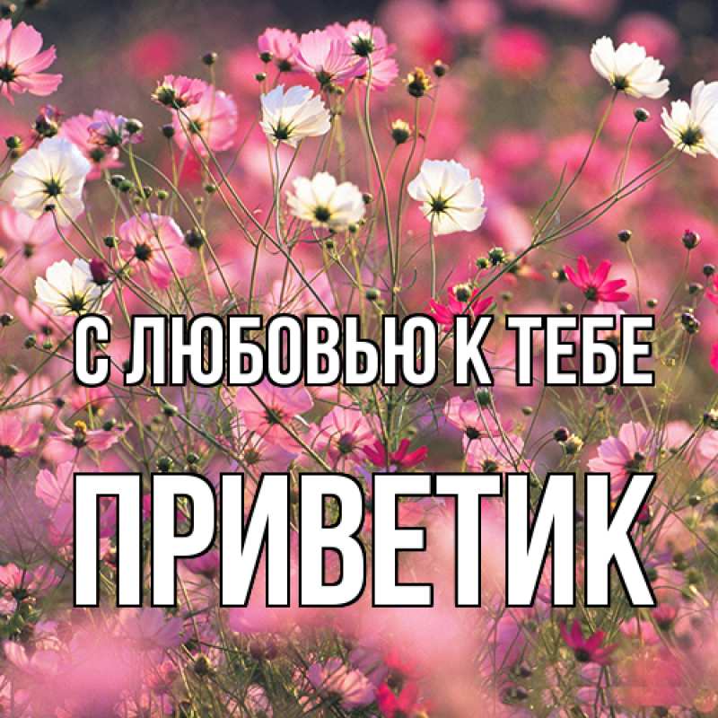 Картинка С любовью к тебе, приветик