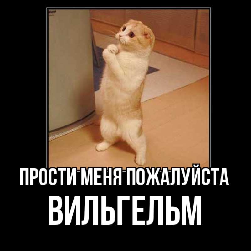 Открытка с именем, Вильгельм, Прости меня пожалуйста