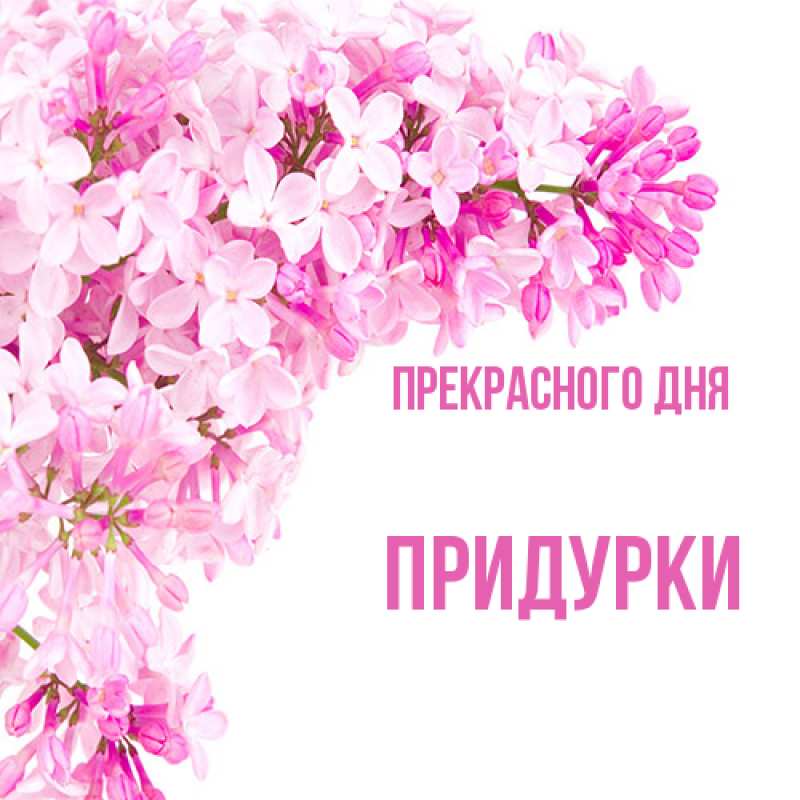 Картинка Прекрасного дня, Придурки