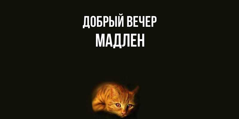 Картинка Добрый вечер, Мадлен