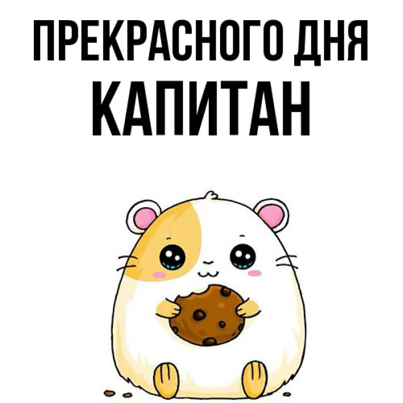 Картинка Прекрасного дня, Капитан
