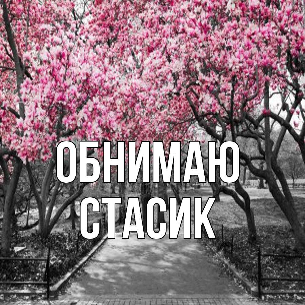 Открытка  с именем. Стасик, Обнимаю  