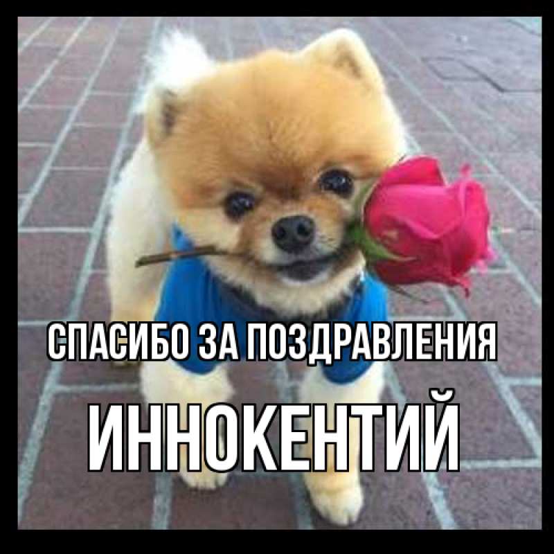 Картинка Спасибо за поздравления, Иннокентий