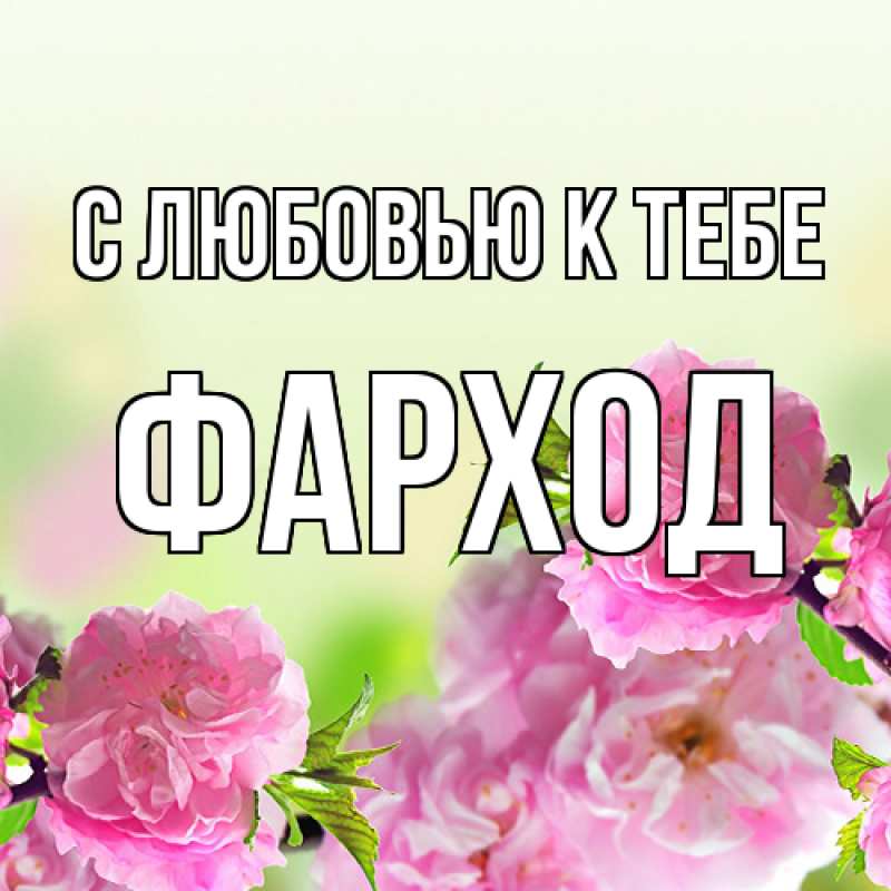 Картинка С любовью к тебе, Фарход