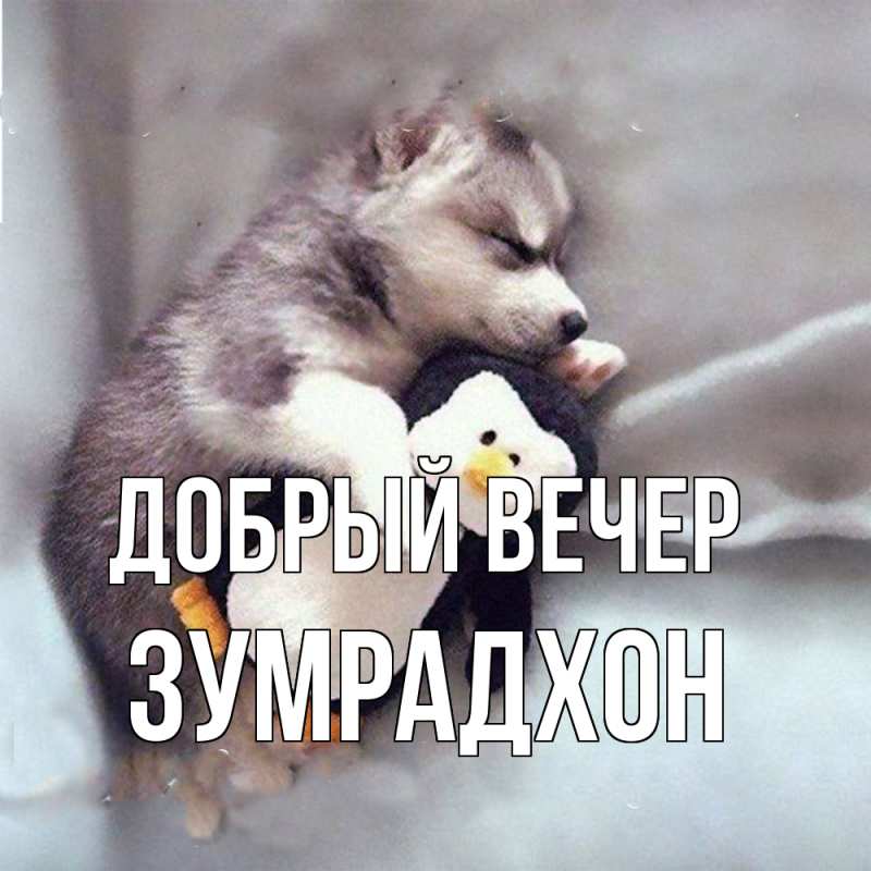 Картинка Добрый вечер, Зумрадхон