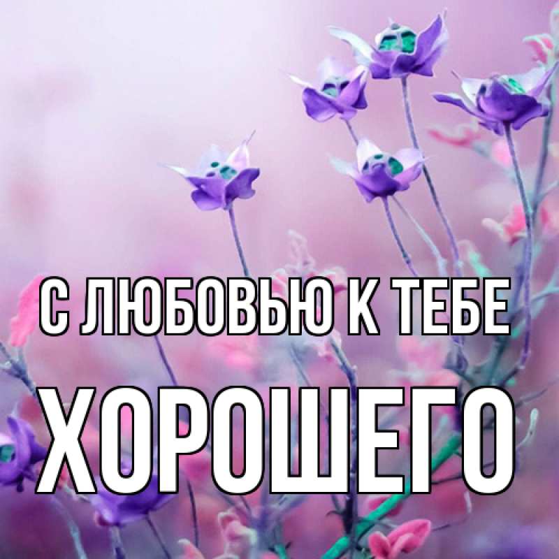 Картинка С любовью к тебе, Хорошего