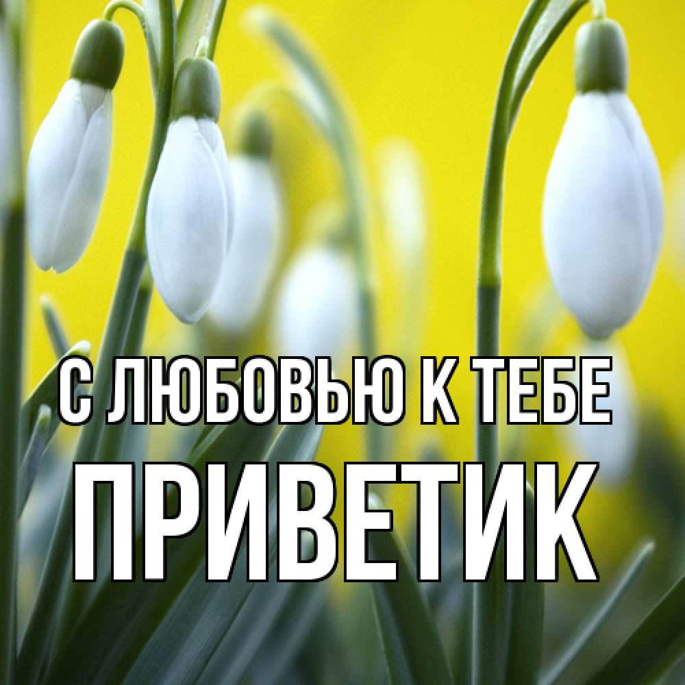 Открытка  с именем. приветик, С любовью к тебе  