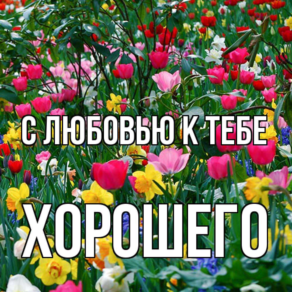 Открытка  с именем. Хорошего, С любовью к тебе  
