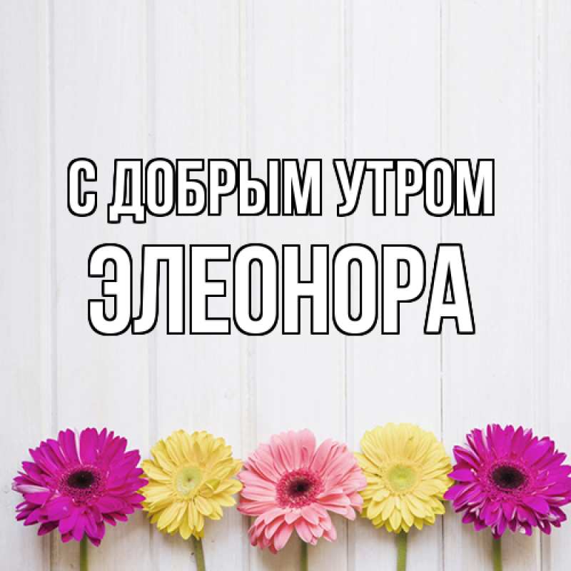 Картинка С добрым утром, Элеонора