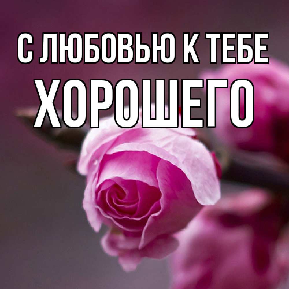 Открытка  с именем. Хорошего, С любовью к тебе  