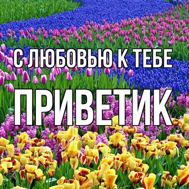 Картинка С любовью к тебе, приветик
