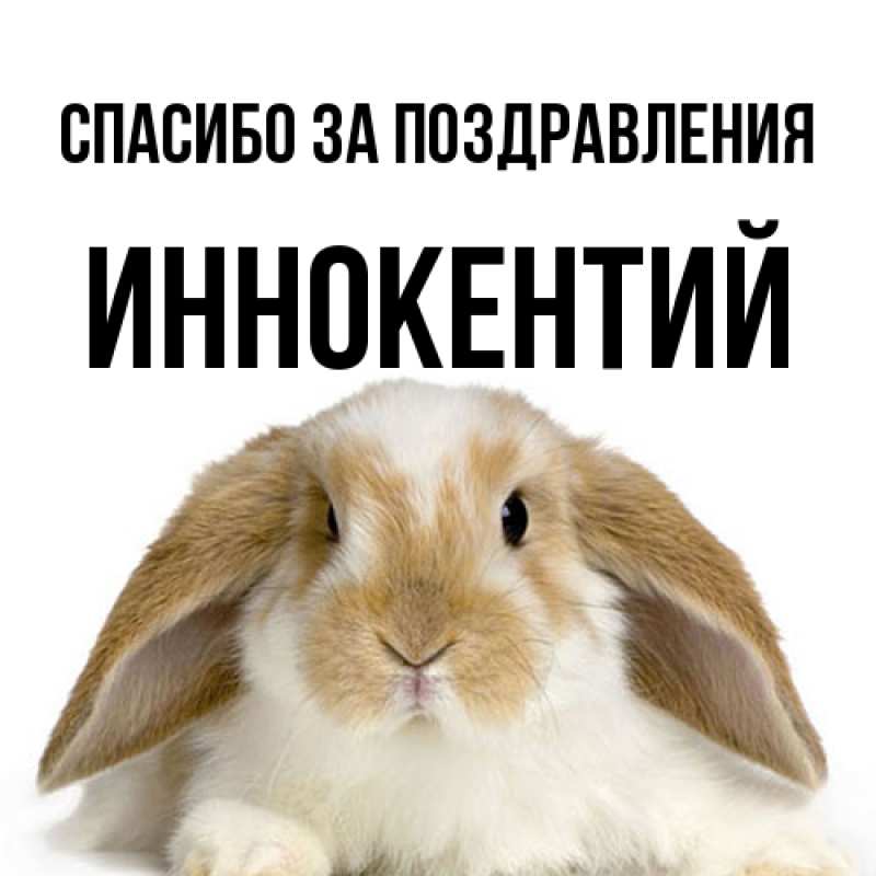 Картинка Спасибо за поздравления, Иннокентий