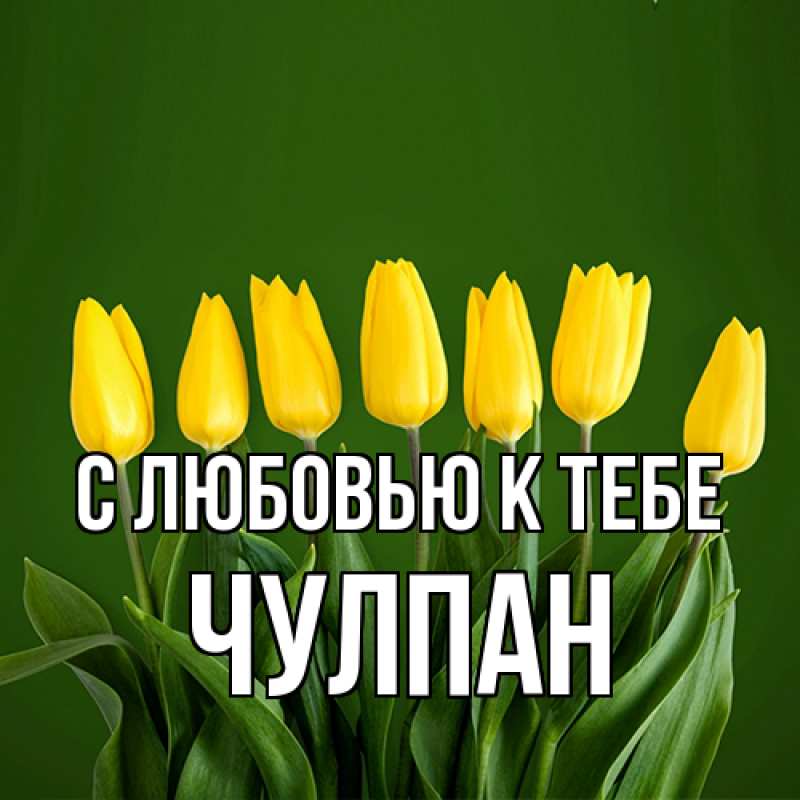 Картинка С любовью к тебе, Чулпан