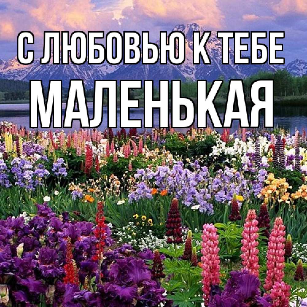 Открытка  с именем. Маленькая, С любовью к тебе  