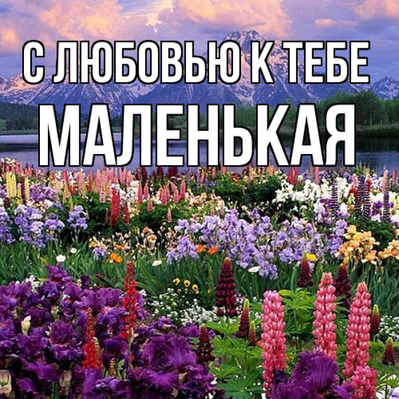 Картинка С любовью к тебе, Маленькая